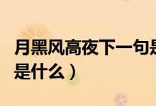 月黑風(fēng)高夜下一句是什么（月黑風(fēng)高夜下一句是什么）