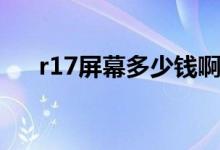 r17屏幕多少錢?。╮17屏幕多大尺寸）