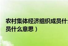 農村集體經濟組織成員什么時候發(fā)證（農村集體經濟組織成員什么意思）