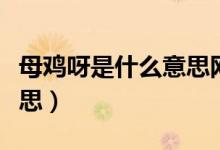 母雞呀是什么意思網(wǎng)絡(luò)用語(yǔ)（母雞呀是什么意思）