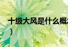 十級大風是什么概念?（十級風是個什么概念）