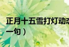 正月十五雪打燈動(dòng)態(tài)圖片（正月十五雪打燈上一句）