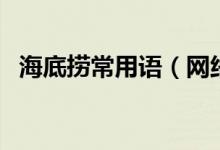 海底撈常用語（網(wǎng)絡(luò)語言海底撈什么意思）