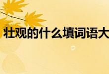 壯觀的什么填詞語大全（填詞語壯觀的什么）