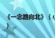《一念路向北》（小說一念路向北結(jié)局是什么）