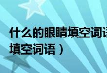 什么的眼睛填空詞語一年級(jí)動(dòng)詞（什么的眼睛填空詞語）