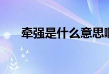 牽強是什么意思?。繌娛鞘裁匆馑迹?class=