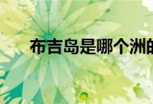 布吉島是哪個洲的（布吉島是哪里的）
