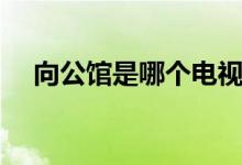 向公館是哪個(gè)電視?。ㄏ旅鏋榇蠹抑v解）