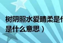 樹陰照水愛晴柔是什么意思（樹陰照水愛晴柔是什么意思）