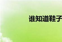誰(shuí)知道鞋子Z字是什么品牌