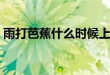雨打芭蕉什么時(shí)候上映（雨打芭蕉什么意思）