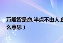萬般皆是命,半點(diǎn)不由人,的意思（萬般皆是命半點(diǎn)不由人什么意思）