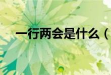 一行兩會(huì)是什么（一行兩會(huì)是什么意思）