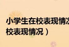 小學(xué)生在校表現(xiàn)情況怎么寫(xiě)（怎么寫(xiě)小學(xué)生在校表現(xiàn)情況）