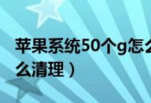 蘋果系統(tǒng)50個g怎么清理（蘋果系統(tǒng)30個g怎么清理）
