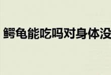 鱷龜能吃嗎對(duì)身體沒(méi)有危害吧（鱷龜能吃嗎）
