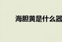 海膽黃是什么器官（海膽黃是什么）