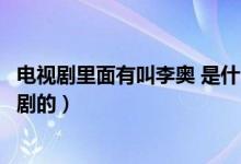 電視劇里面有叫李?yuàn)W 是什么電視?。娨晞±?yuàn)W是哪部電視劇的）