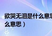 欲哭無淚是什么意思啊（欲哭無淚的意思是什么意思）