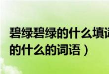 碧綠碧綠的什么填詞語一年級下冊（碧綠碧綠的什么的詞語）