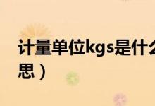 計(jì)量單位kgs是什么（計(jì)量單位kgs是什么意思）