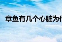 章魚有幾個心臟為什么（章魚有幾個心臟）