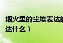 煙火里的塵埃表達的是什么（煙火里的塵埃表達什么）