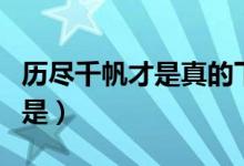 歷盡千帆才是真的下一句（歷盡千帆盡下一句是）