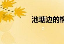 池塘邊的榕樹(shù)上是什么歌