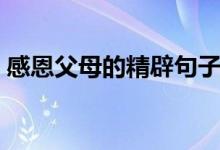 感恩父母的精辟句子（感謝家長(zhǎng)的經(jīng)典好句）