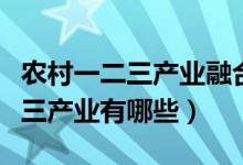 農(nóng)村一二三產(chǎn)業(yè)融合發(fā)展試點(diǎn)項(xiàng)目（農(nóng)村一二三產(chǎn)業(yè)有哪些）
