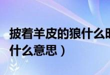 披著羊皮的狼什么時候大火的（披著羊皮的狼什么意思）