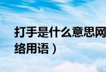 打手是什么意思網(wǎng)絡(luò)用語(yǔ)（ds是什么意思網(wǎng)絡(luò)用語(yǔ)）