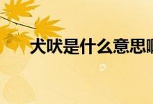 犬吠是什么意思?。ㄈ褪鞘裁磩?dòng)物）