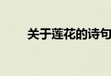 關于蓮花的詩句（蓮花的詩句大全）