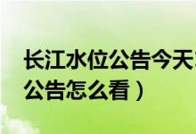 長江水位公告今天11點(diǎn)（長江每日11點(diǎn)水位公告怎么看）
