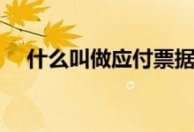 什么叫做應(yīng)付票據(jù)(什么叫做應(yīng)變效應(yīng))