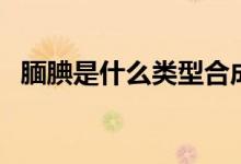 靦腆是什么類(lèi)型合成詞（靦腆是什么意思）