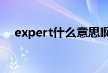 expert什么意思?。‥XPERT什么意思）