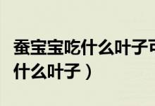 蠶寶寶吃什么葉子可以變成藍(lán)色的（蠶寶寶吃什么葉子）