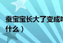 蠶寶寶長(zhǎng)大了變成啥樣子（蠶寶寶長(zhǎng)大了變成什么）