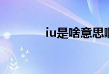iu是啥意思?。╥u是啥意思）