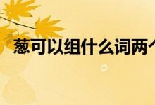 蔥可以組什么詞兩個字（蔥可以組什么詞）