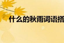 什么的秋雨詞語搭配填空（什么的秋雨）