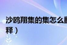 沙鷗翔集的集怎么翻譯（沙鷗翔集的集怎么解釋）