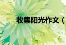 收集陽(yáng)光作文（收集陽(yáng)光作文范文）