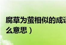 腐草為螢相似的成語（腐草為螢這個成語是什么意思）