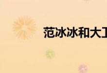 范冰冰和大衛(wèi)的電影有哪些？