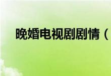 晚婚電視劇劇情（晚婚電視劇劇情簡(jiǎn)述）